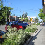 Bainbridge Island’s Redone Downtown Corridor Silva Cell Case Study
