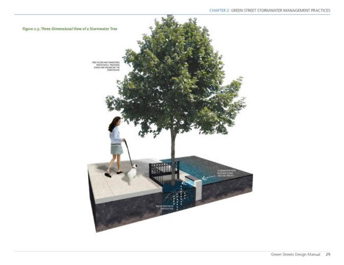 Philadelphia Stormwater Tree - 2