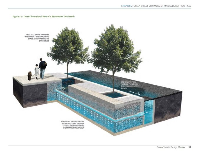 Philadelphia Stormwater Tree Trench - 2