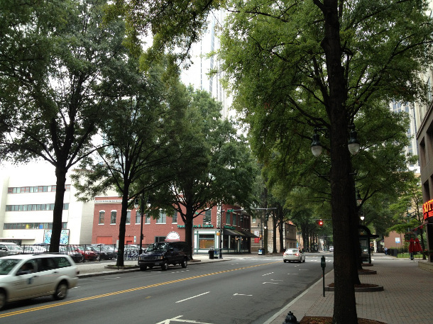 These trees planted in over 750 cubic feet of soil in a suspended pavement system are nearly 30 years old, and huge. Credit: Google Maps