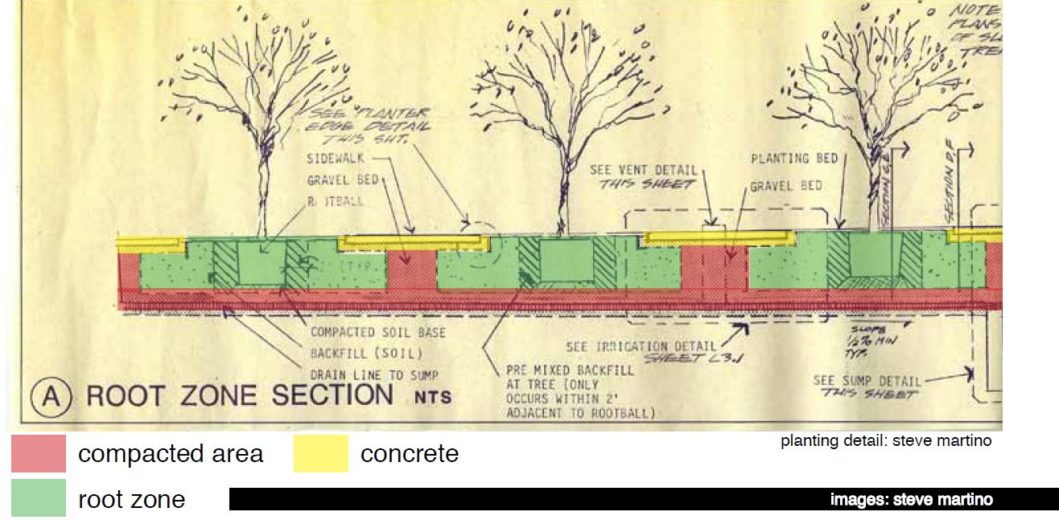 Herberger Theater root zone section