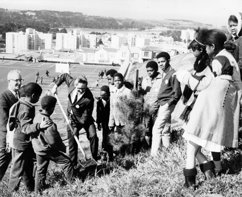 Students from Jose Ortega School (San Francisco) planting a tree, 1969. Courtesy of the San Francisco Public Library