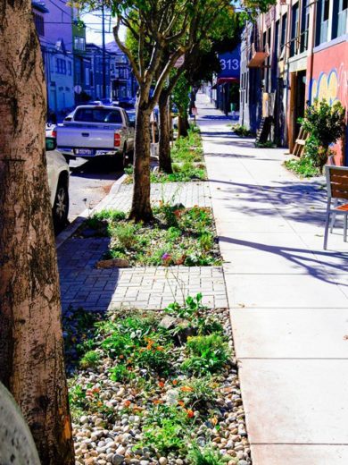 After the sidewalk planting.  October 2012. Photo courtesy of  20thstreetcorridor.wordpress.com)