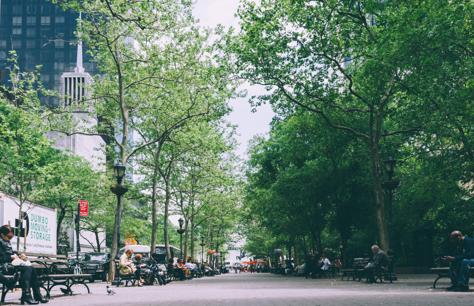 Treating Trees as Actual Infrastructure DeepRoot Blog