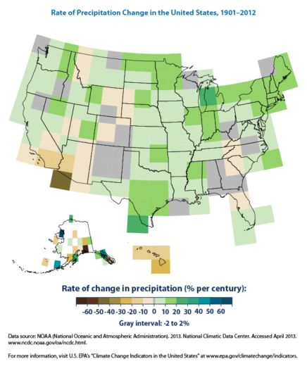 Trees in Standing Water - Rate of Precipitation Change