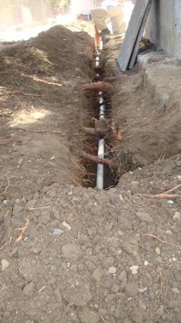 4 preserving roots when trenching