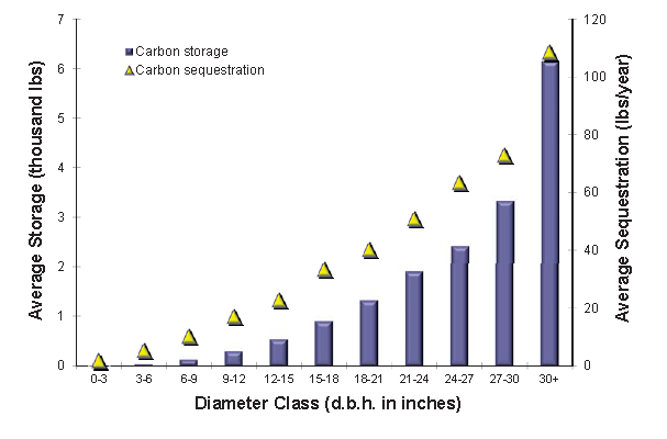 Figure 1: Estimated average carbon storage and sequestration by diameter class, Chicago region, 2010 (from Nowak et al, 2012)