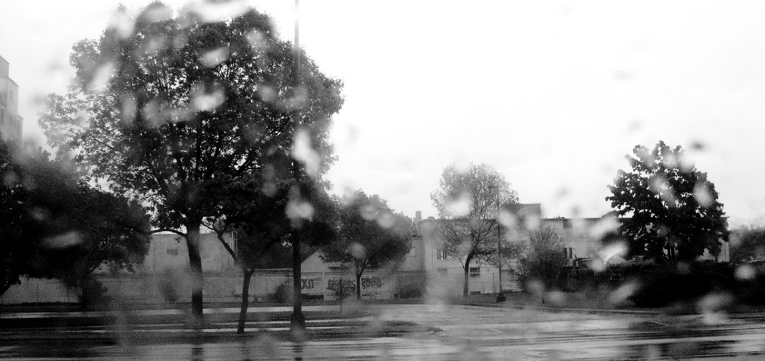 Cities That are Pioneers in Developing Stormwater Credit Systems for Trees