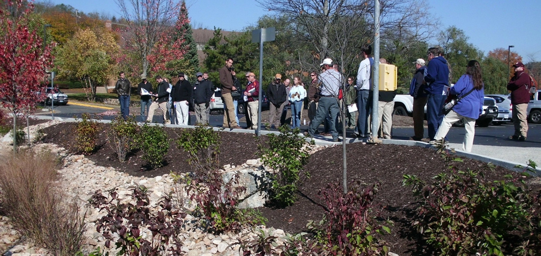 Long-Term Use of Bioretention for Heavy Metals Removal