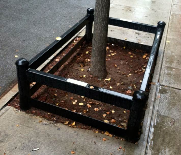 Alternate to a tree grate 03