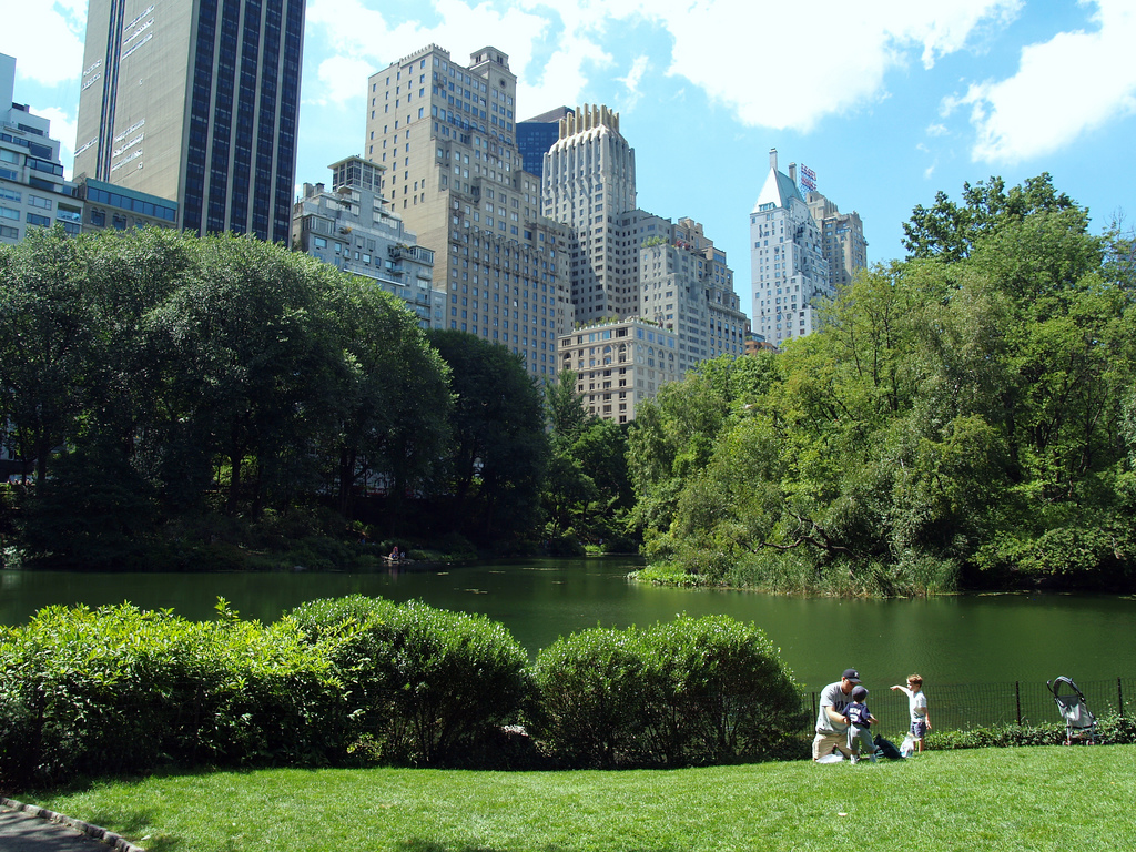 Central Park in New York City. Flickr credit: David Shankbone (CC BY 2.0)