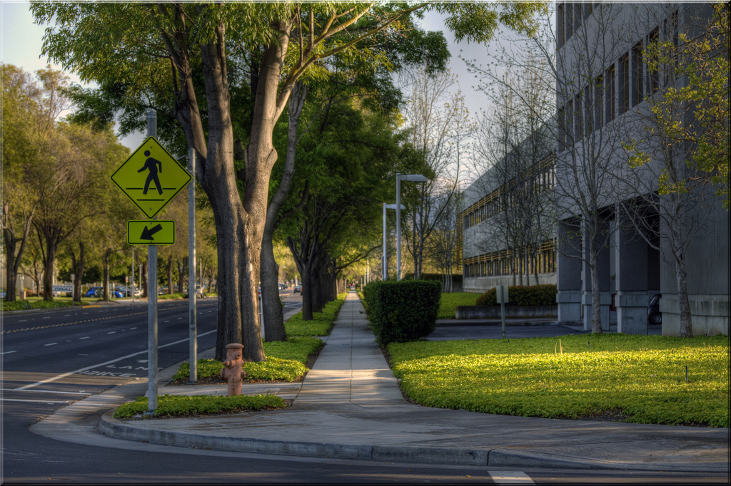 Palo Alto, CA Street - Jill Clardy