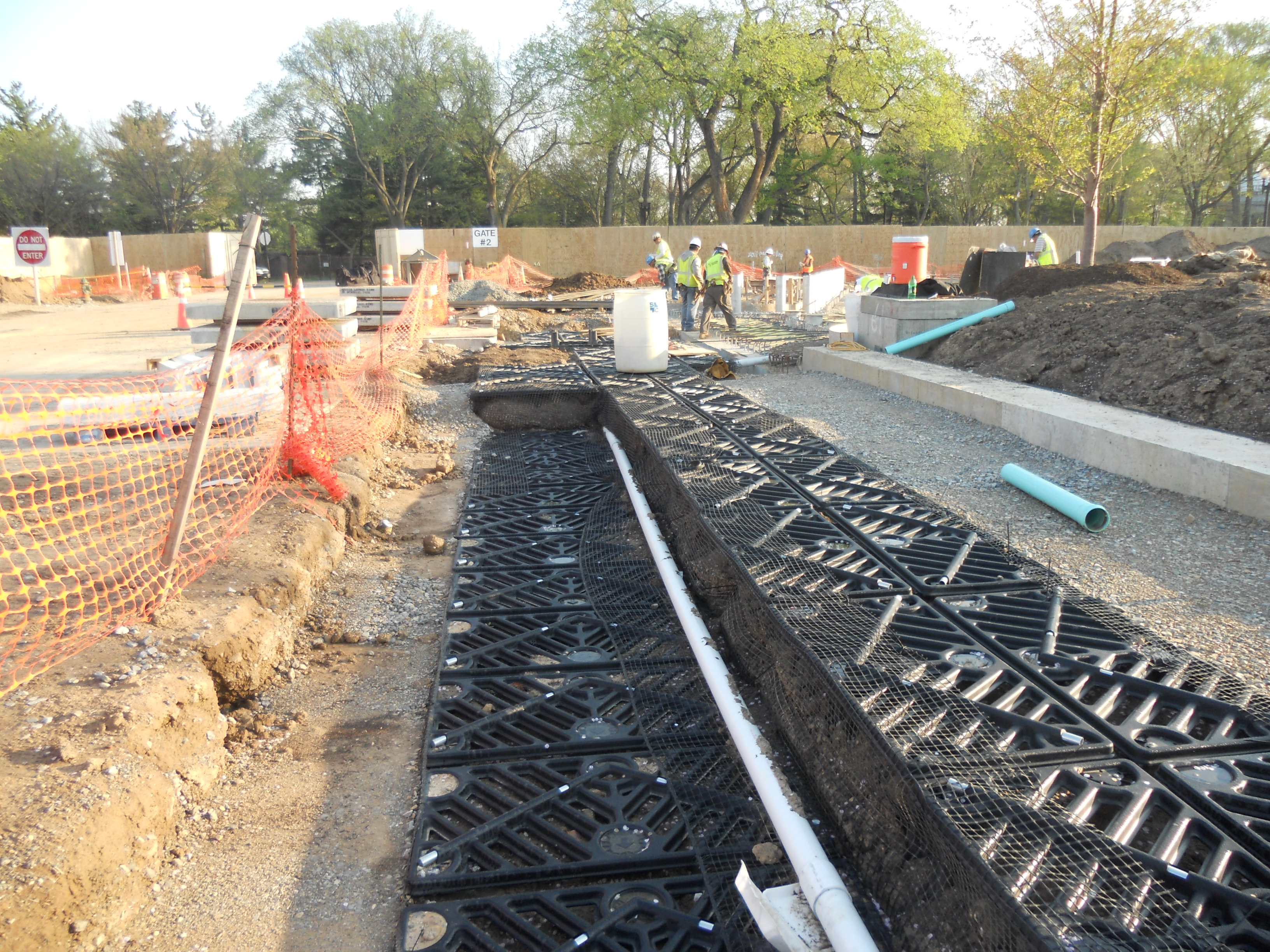 9 Elms were planted Silva Cells along the entrance to the Martin Luther King, Jr. Memorial in winter of 2011.