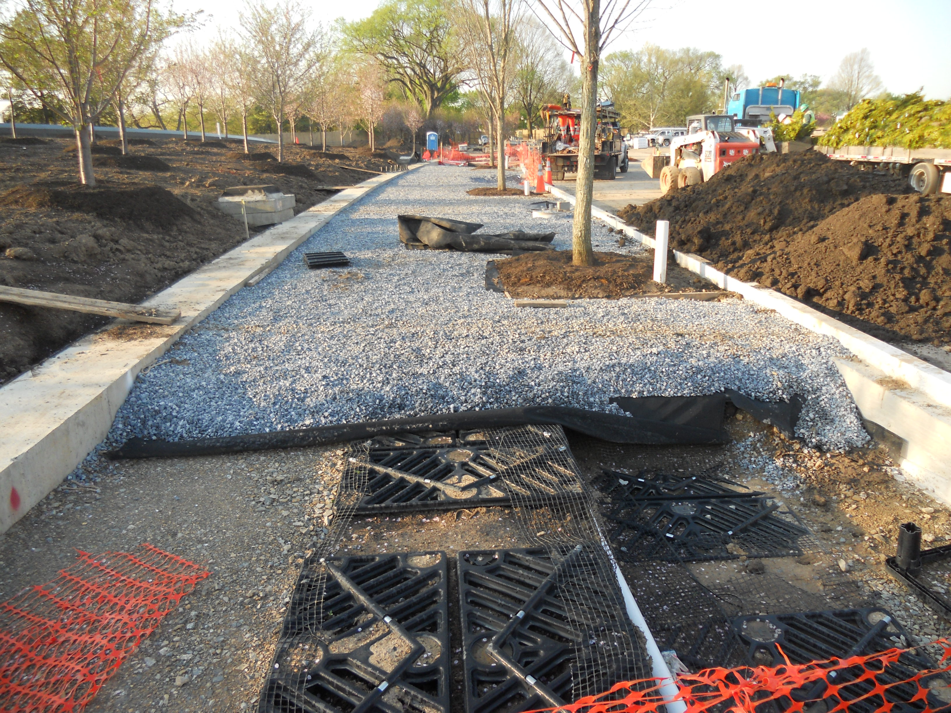 9 Elms were planted Silva Cells along the entrance to the Martin Luther King, Jr. Memorial in winter of 2011.