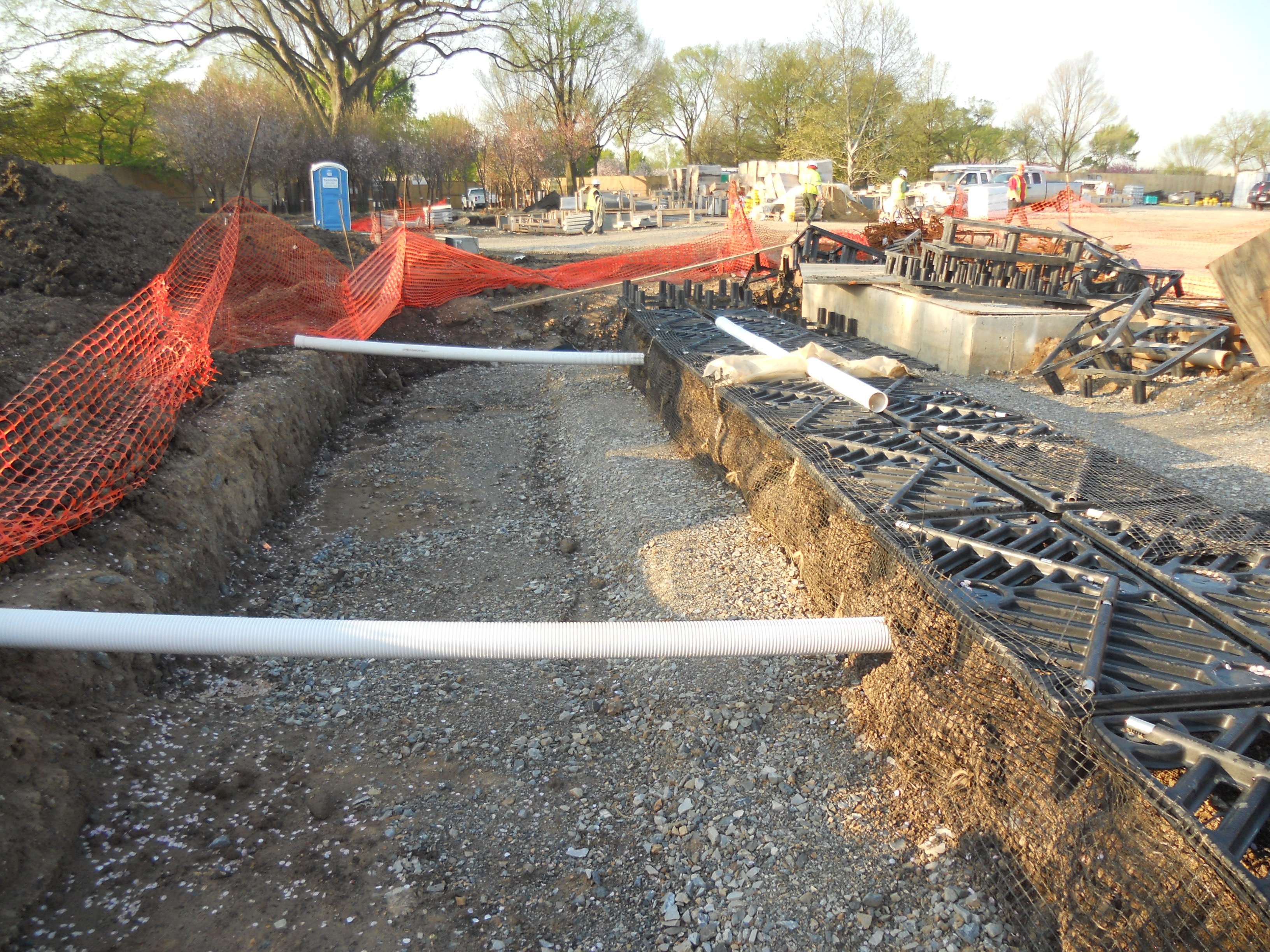 9 Elms were planted Silva Cells along the entrance to the Martin Luther King, Jr. Memorial in winter of 2011.