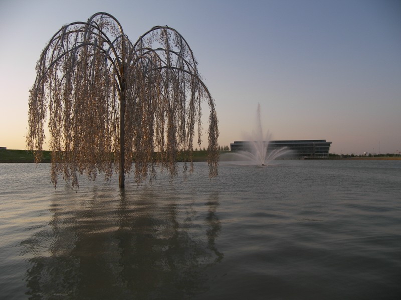 Grand Prairie Willow