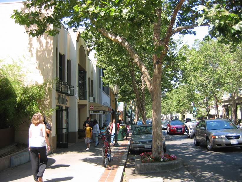 University Avenue in Palo Alto, CA is shaded by rows of London Plane trees. Photo: Dave Dockter.