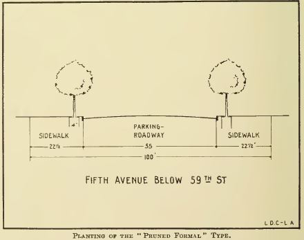 1916_Cox NYC_Fifth Ave Below 59th St