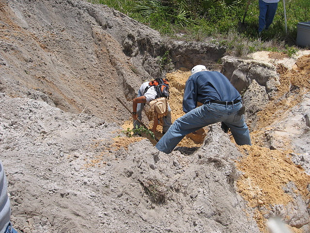 Florida's sandy soil. Flickr credit: GreenNetizen