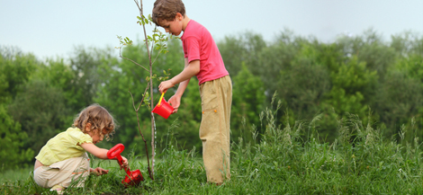 Kids planting trees