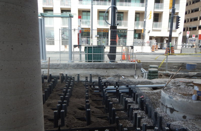 Queens Quay soil going in