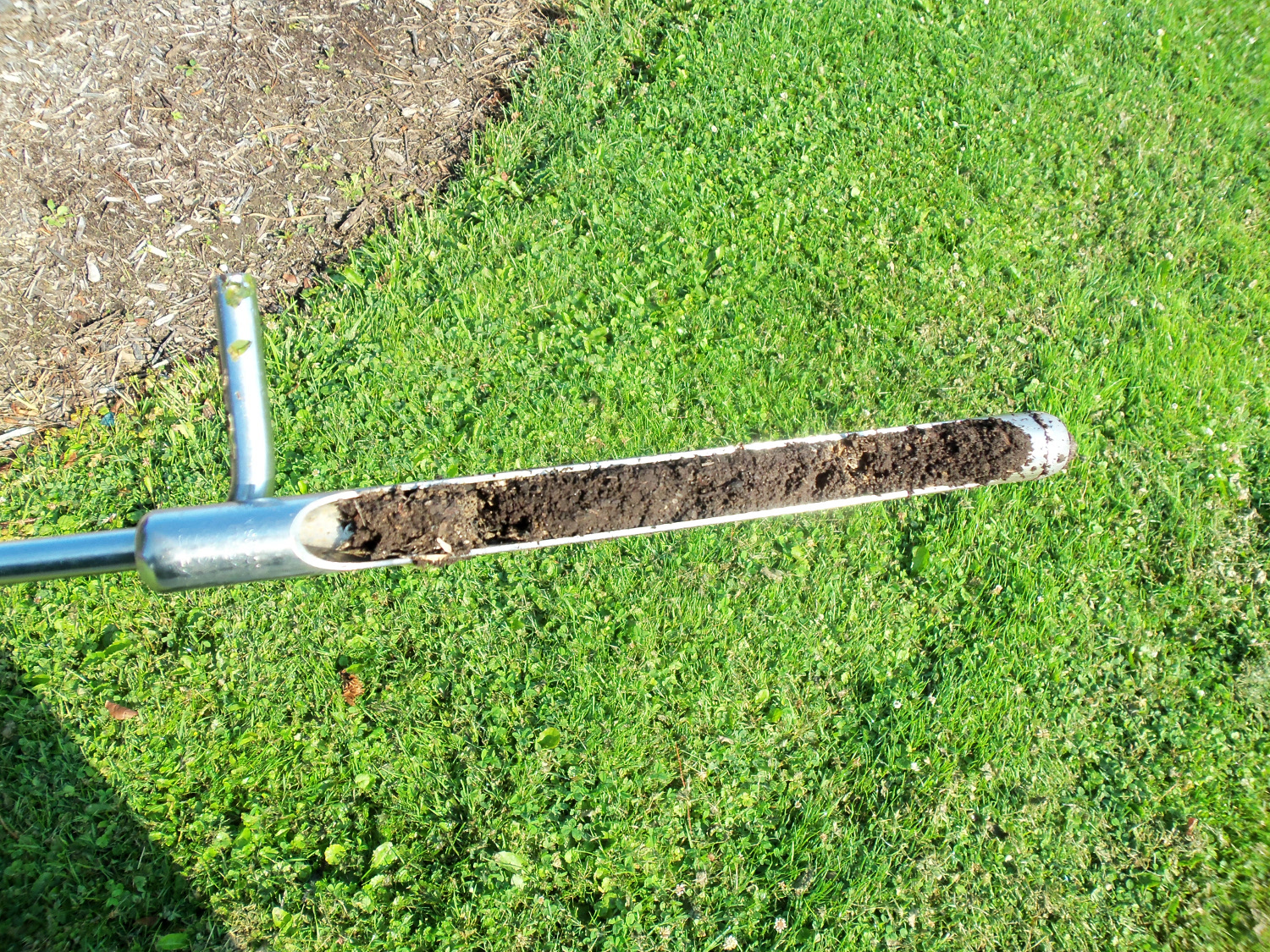 A soil core sample