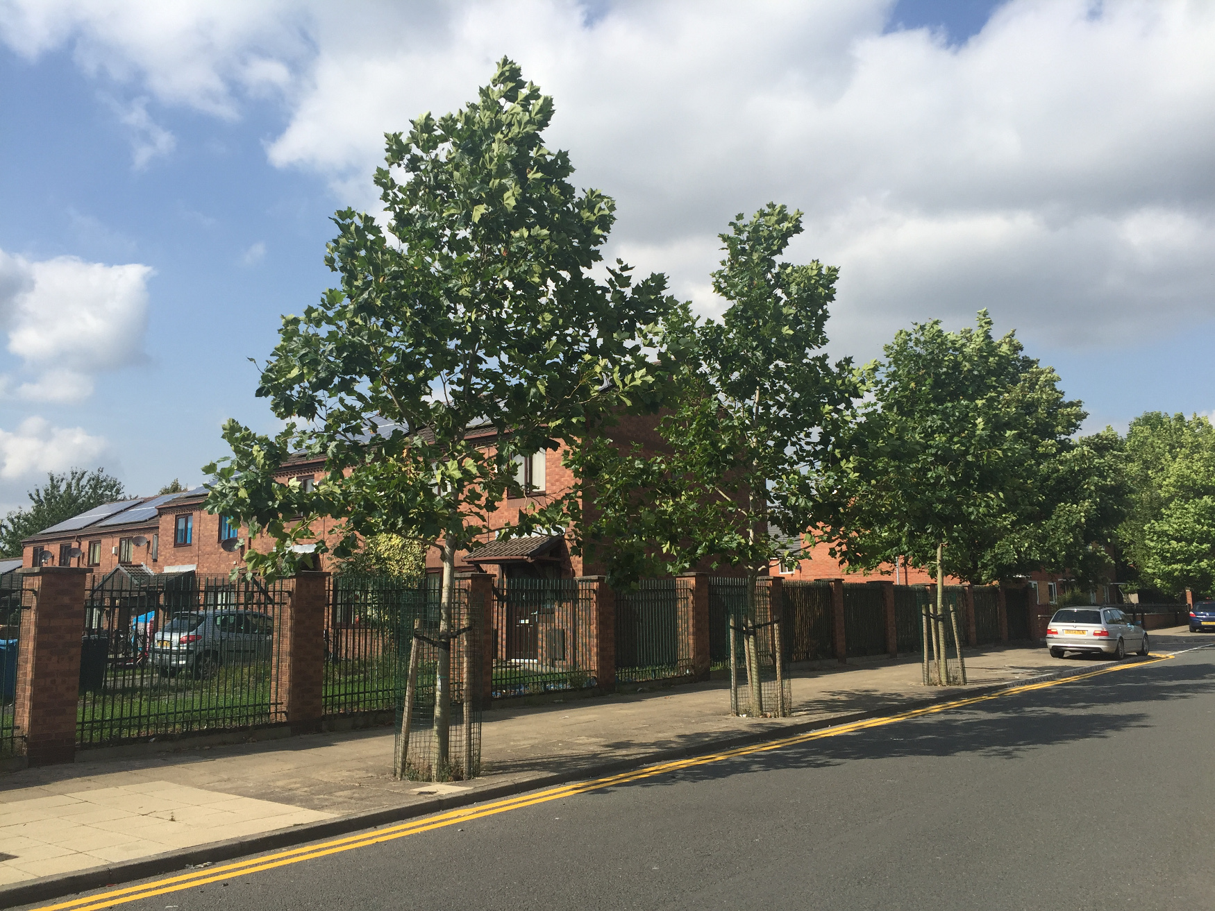 Howard Street trees in 2016