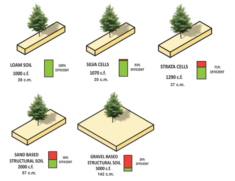 Which Planting Solution is Best for Trees? Bartlett Lab Field Trials