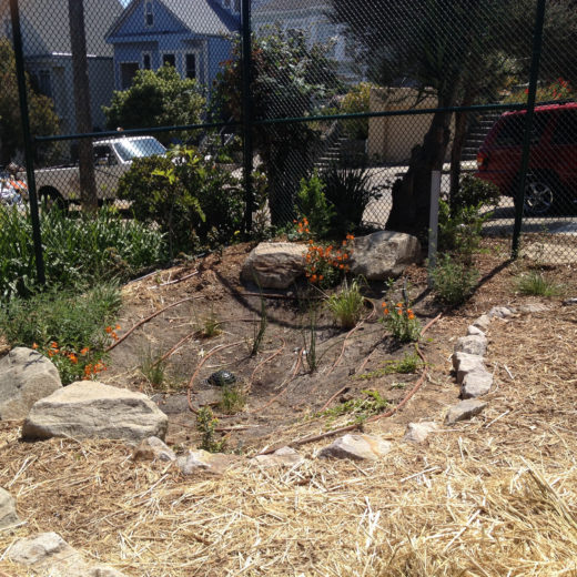 One of the rain gardens waiting for rain