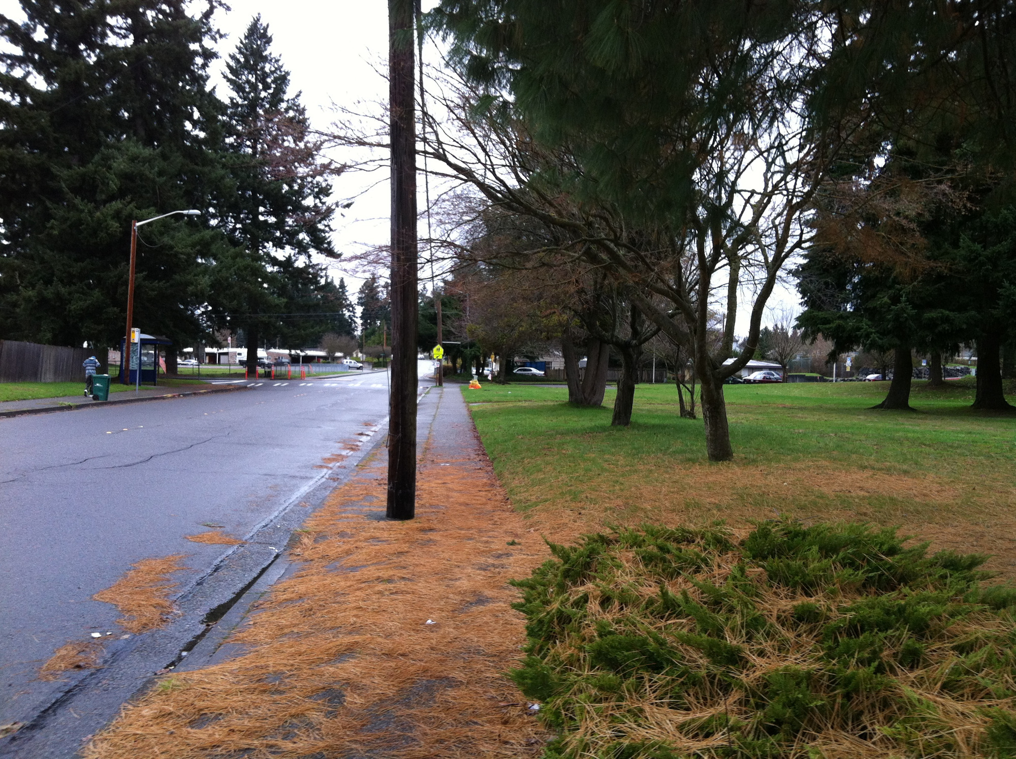 The Trailist: How a Beacon Hill stormwater channel was reborn as a park