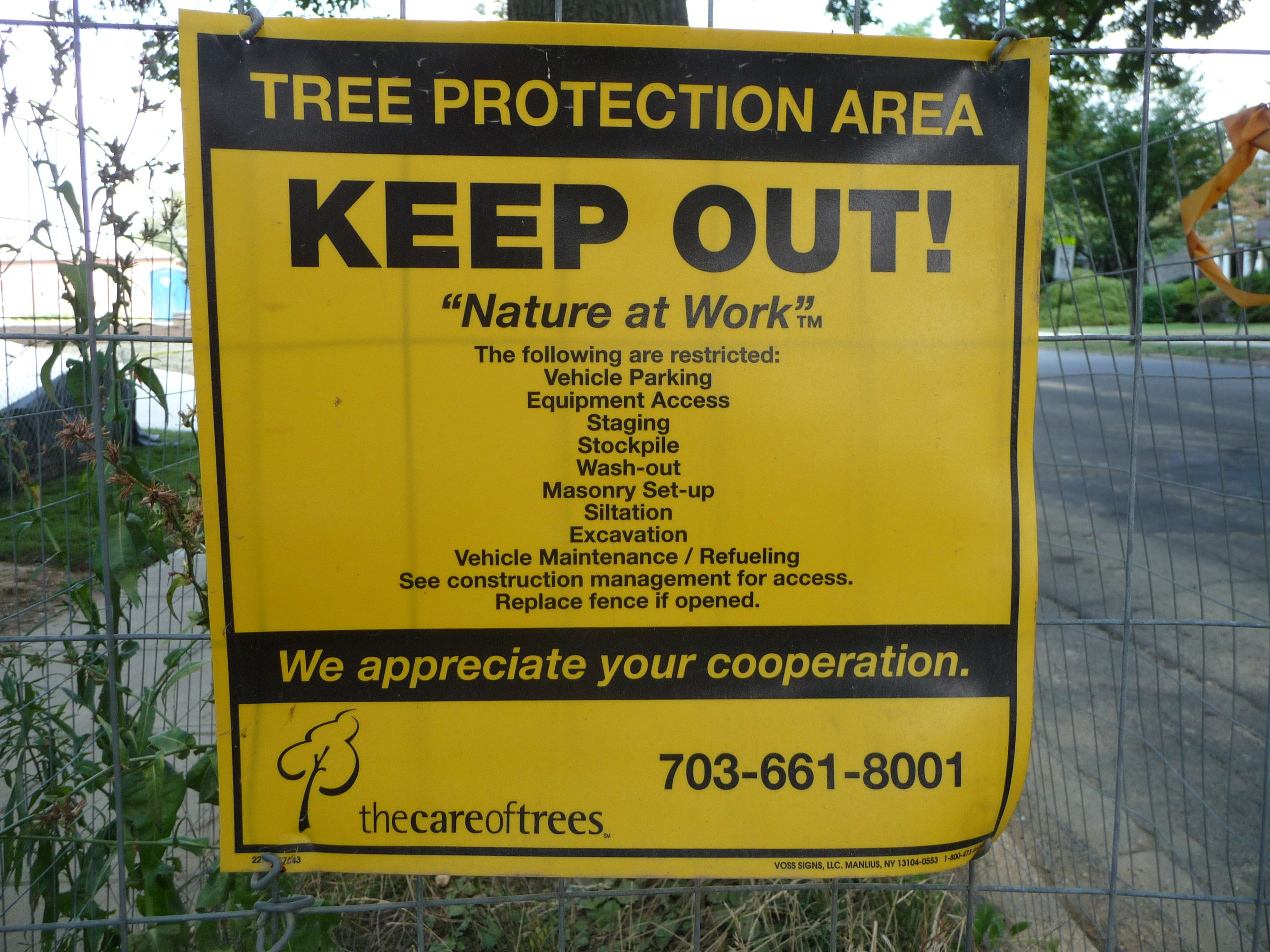 Keeping Room for Urban Trees DeepRoot Blog