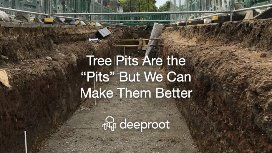 Tree Pits Are the “Pits” But We Can Make Them Better DeepRoot Blog