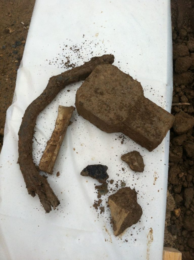 Urban Soil Reuse as Planting Soil Current Science and Lessons Learned