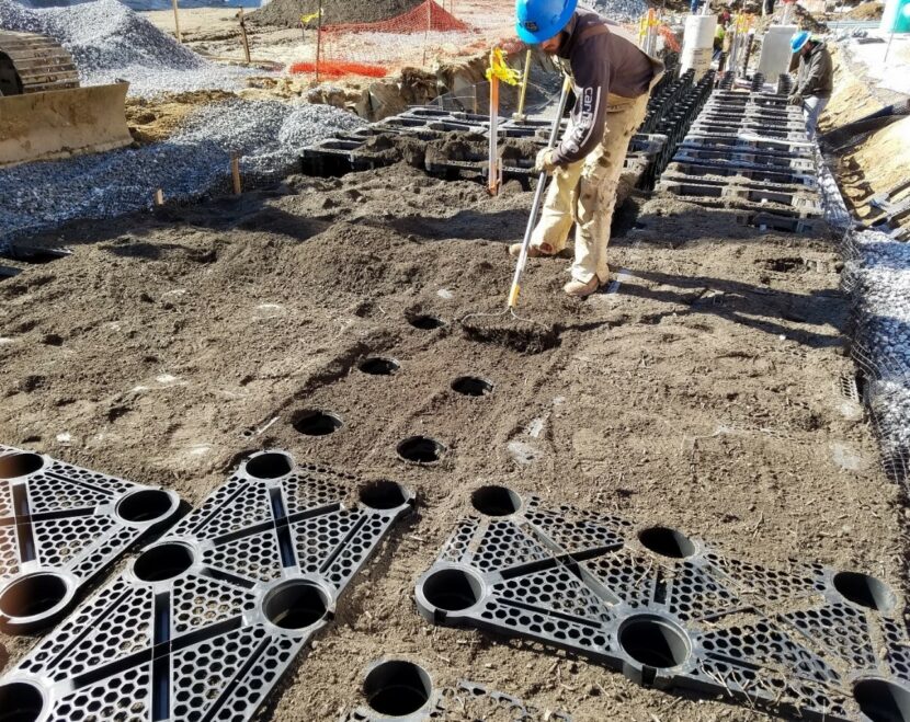 Silva Cells Example 17th St. Multi-Use Plaza | Case Study | DeepRoot