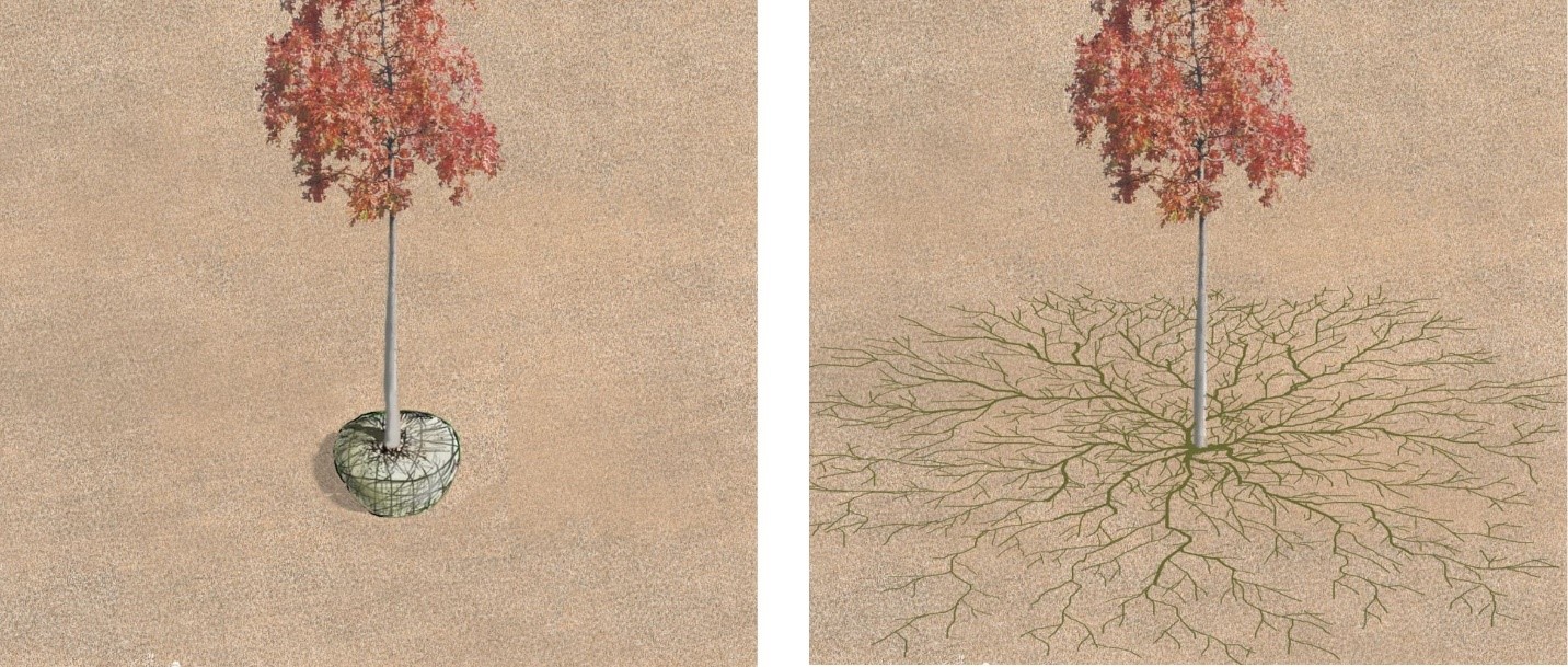 Green Infrastructure and the 3 C's: Creativity Collaboration and ...