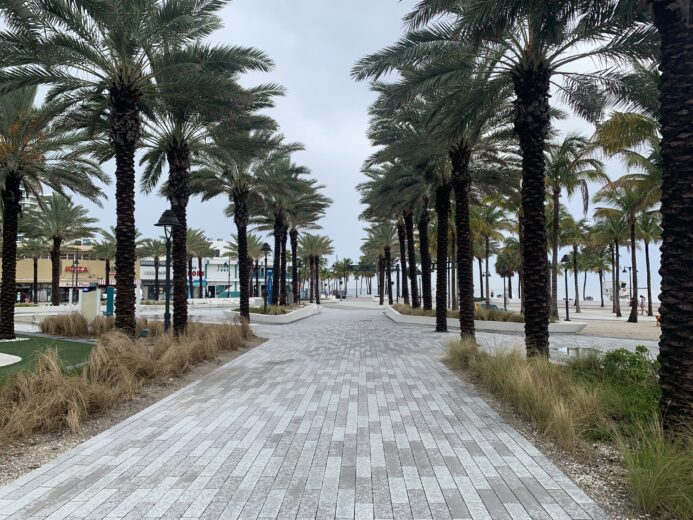 Fort Lauderdale Beach Park Upgrade Includes 100 Thriving Trees