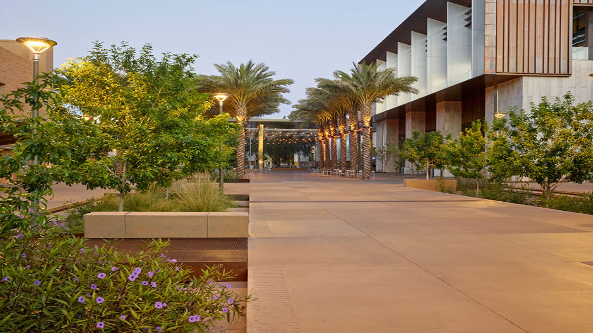 Silva Cells At Arizona State University Case Study DeepRoot