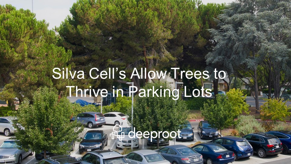 4 Elements of Parking Lot Design That Must Be Prioritized