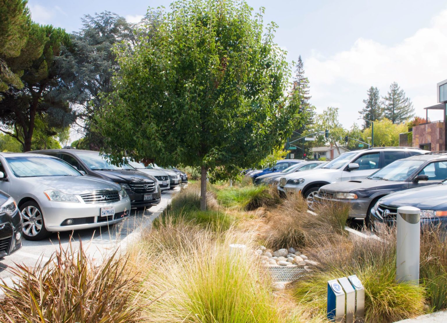 Silva Cell’s Allow Trees to Thrive in Parking Lots DeepRoot Blog