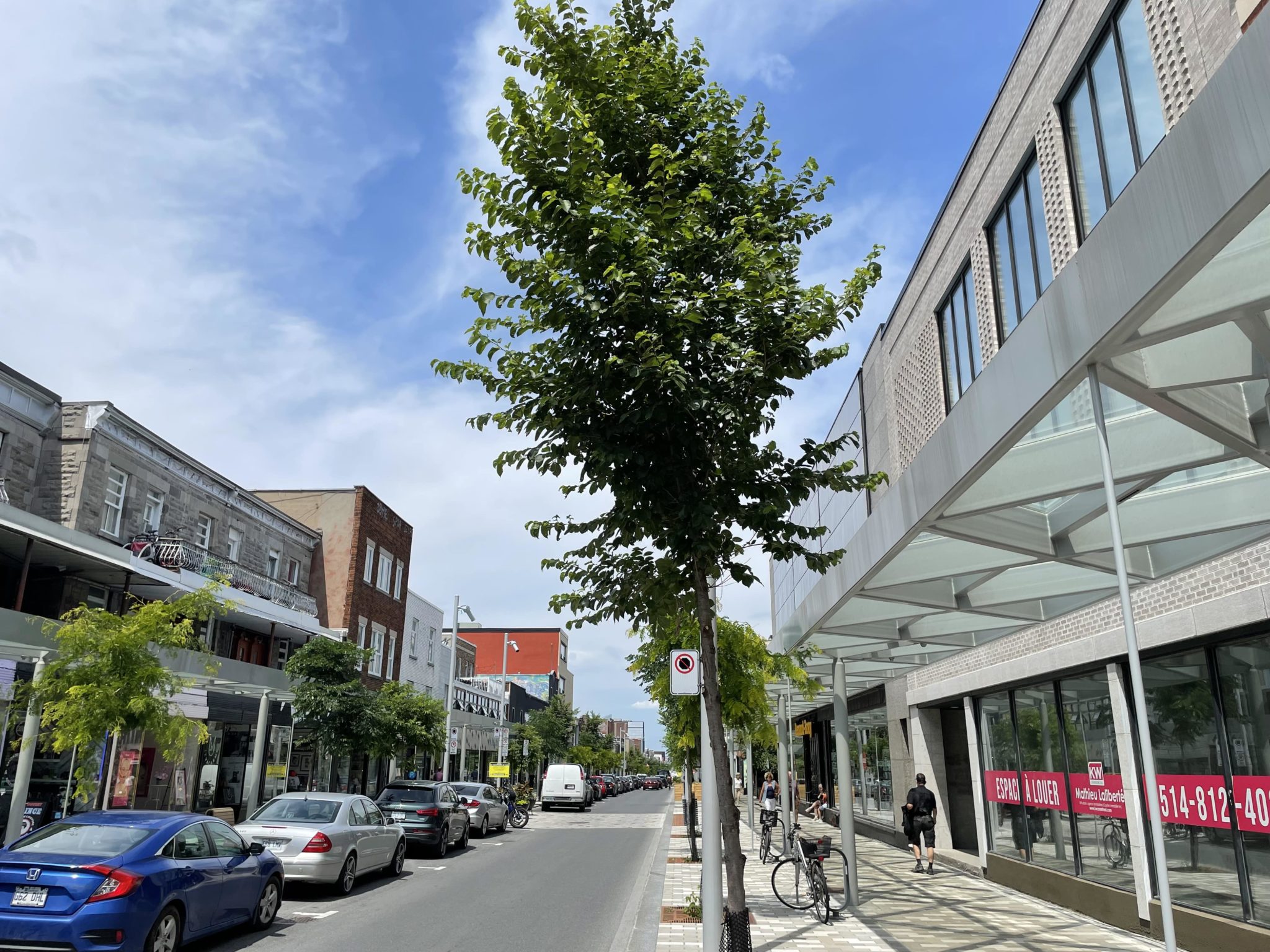 Plaza St. Hubert Redevelopment in Montreal Case Study DeepRoot