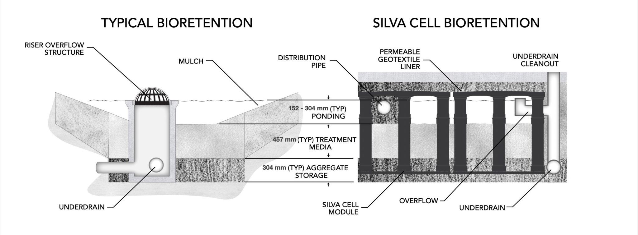 Silva Cell Tree and Stormwater Management System | DeepRoot