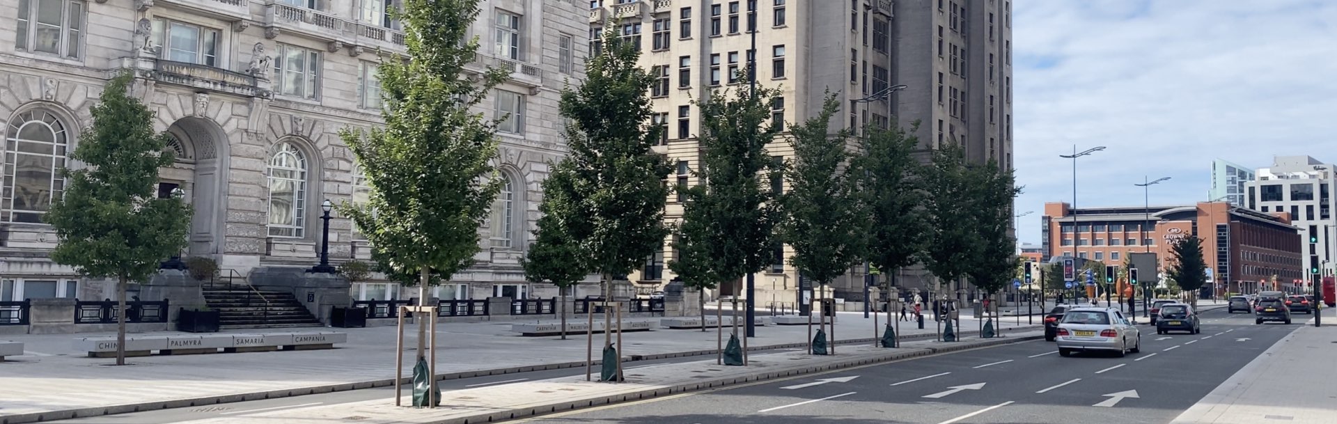 Book a Silva Cell CPD DeepRoot