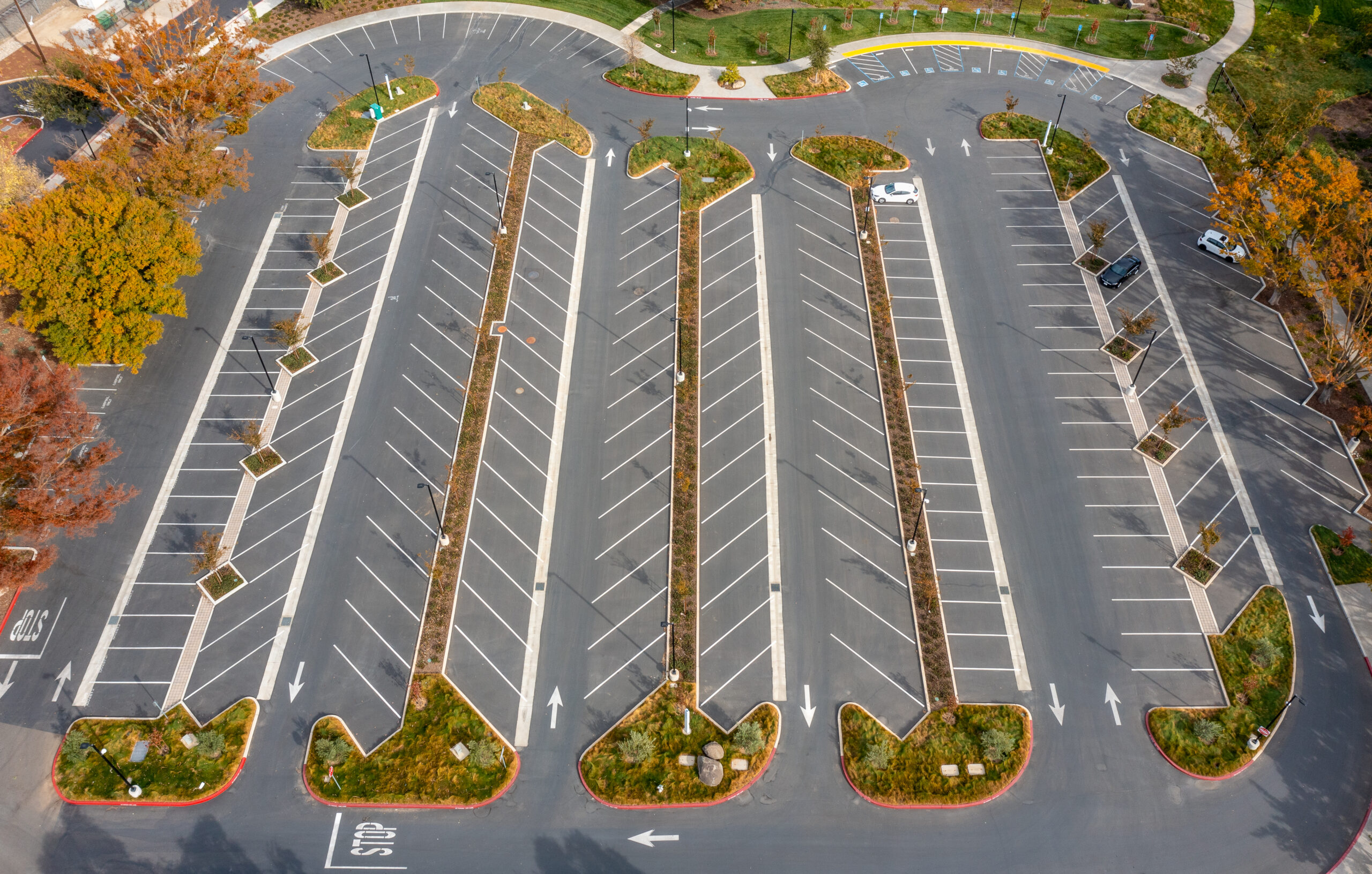 smud-hq-in-sacramento-embraces-shady-tree-coverage-in-parking-lot