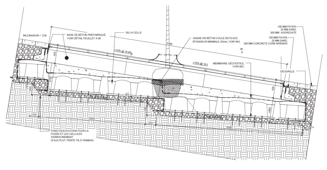 Silva Cells Overcome Significant Slope Challenges on Montreal ...