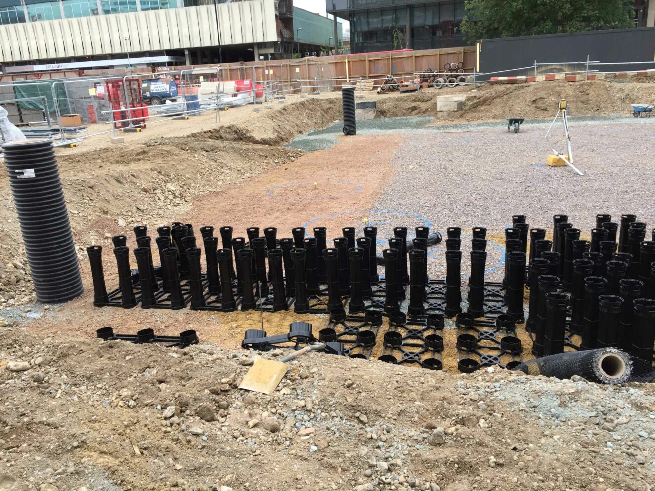Ruskin Square Green Space Spurs District Growth | Case Study | DeepRoot