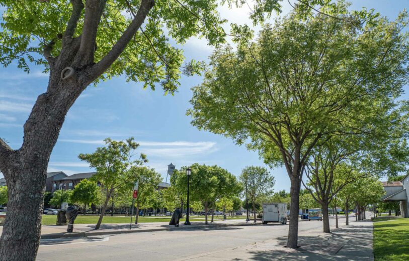 How Green Space Breathes Life into Historic Downtowns | DeepRoot Blog