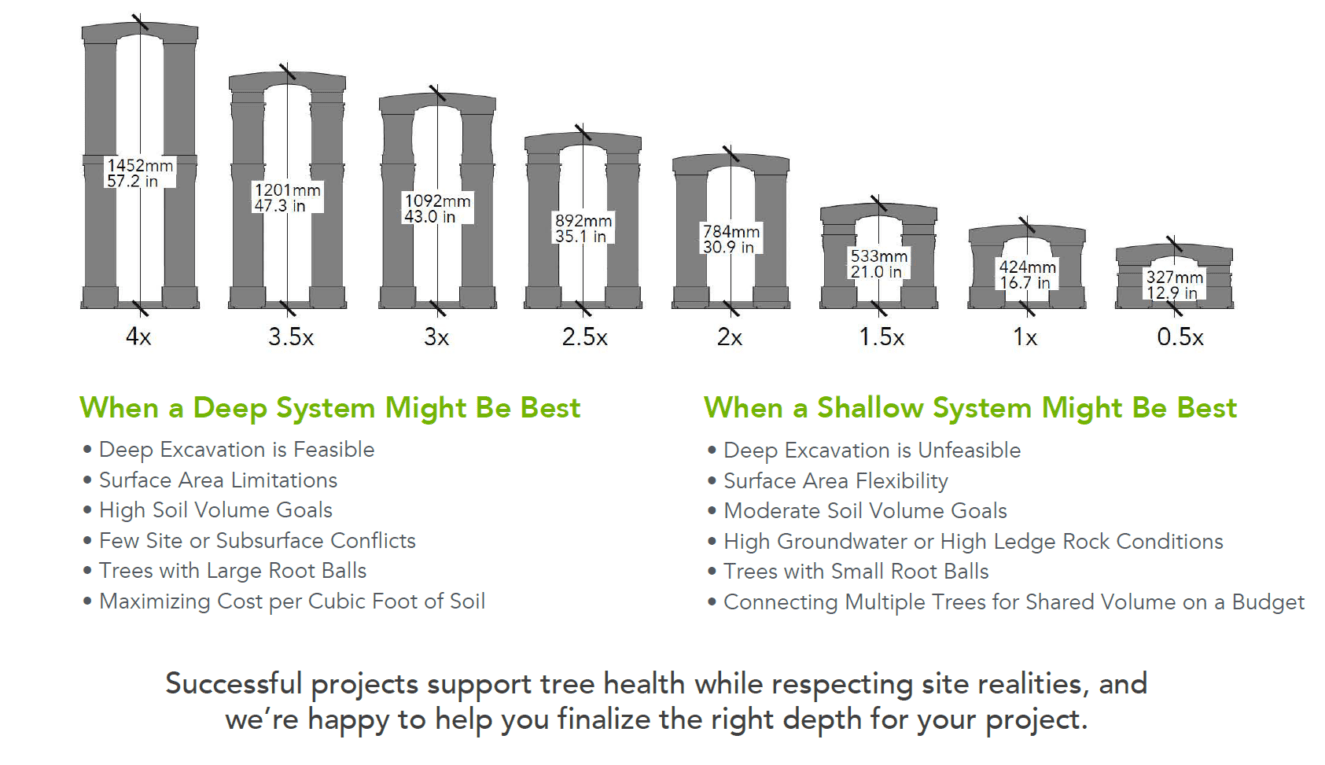 Silva Cell Tree and Stormwater Management System | DeepRoot